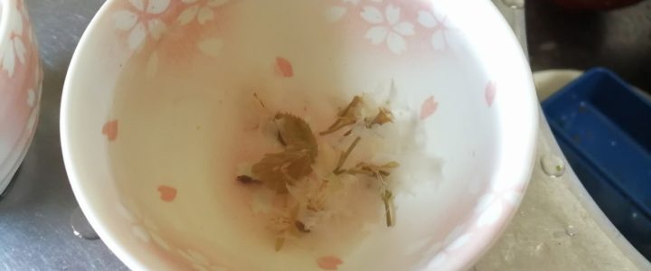 桜茶を作ってみました
