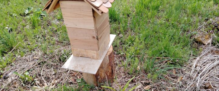ミツバチの巣箱作り