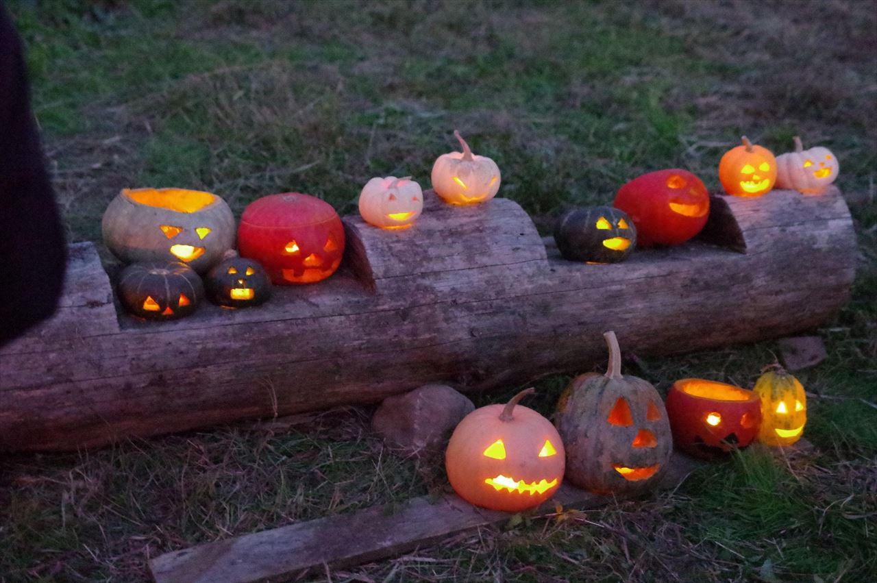 激安オンラインセール 展示作品 ステンドグラス ハロウィン みんな