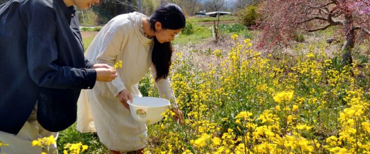 お花の季節　～自然の中でくつろぐ～