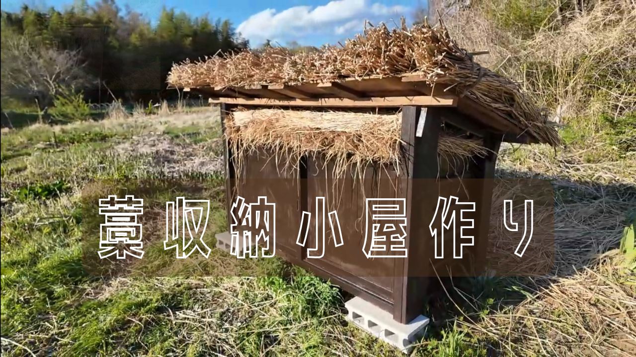 417a0bbc7800e2d8c0ef0b5a896d89